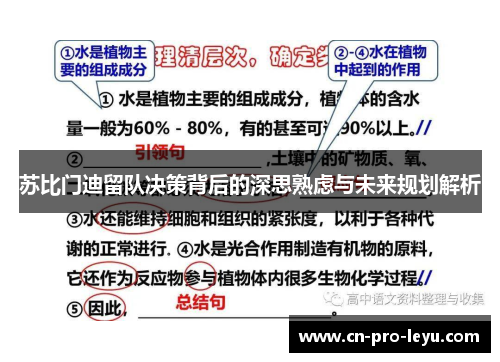 苏比门迪留队决策背后的深思熟虑与未来规划解析 苏比门迪留队决策背后的深思熟虑与未来规划解析