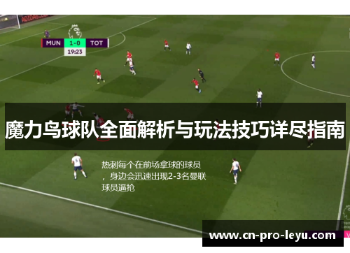 魔力鸟球队全面解析与玩法技巧详尽指南 魔力鸟球队全面解析与玩法技巧详尽指南