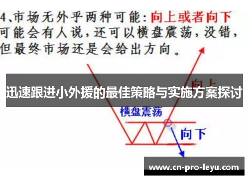 迅速跟进小外援的最佳策略与实施方案探讨 迅速跟进小外援的最佳策略与实施方案探讨