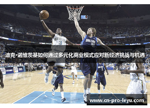 迪克·诺维茨基如何通过多元化商业模式应对新经济挑战与机遇 迪克·诺维茨基如何通过多元化商业模式应对新经济挑战与机遇