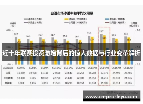 近十年联赛投资激增背后的惊人数据与行业变革解析 近十年联赛投资激增背后的惊人数据与行业变革解析
