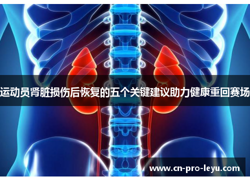 运动员肾脏损伤后恢复的五个关键建议助力健康重回赛场 运动员肾脏损伤后恢复的五个关键建议助力健康重回赛场