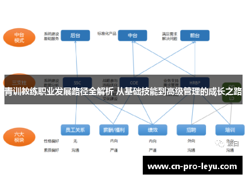 青训教练职业发展路径全解析 从基础技能到高级管理的成长之路 青训教练职业发展路径全解析 从基础技能到高级管理的成长之路